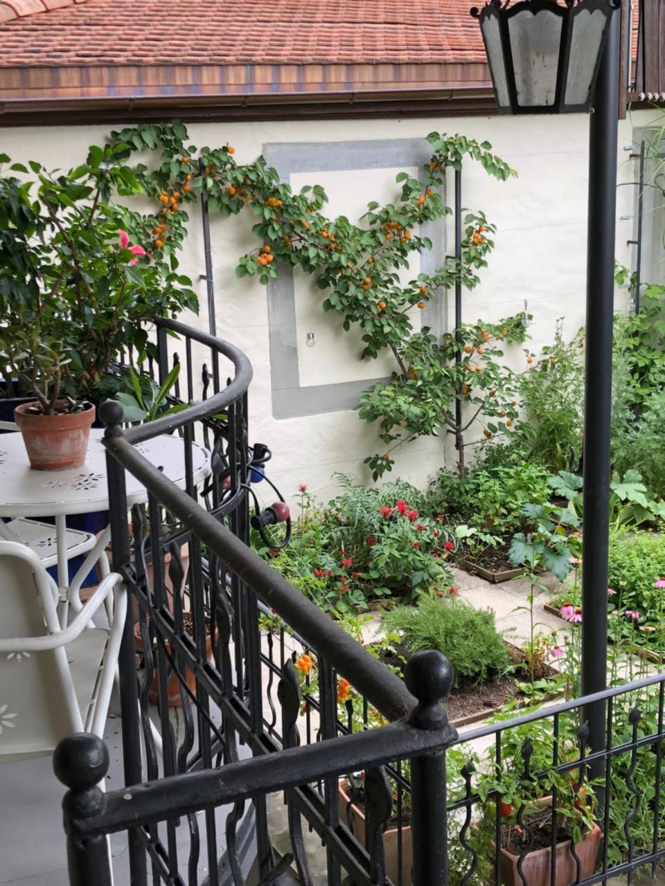 Good4Yew Bnb Zürich Kültér fotó