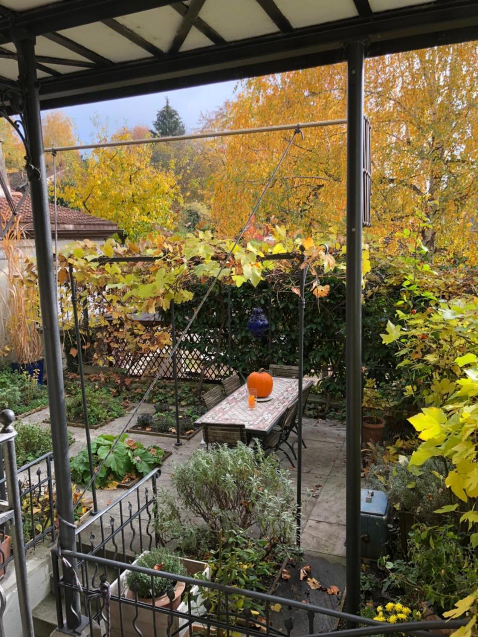 Good4Yew Bnb Zürich Kültér fotó