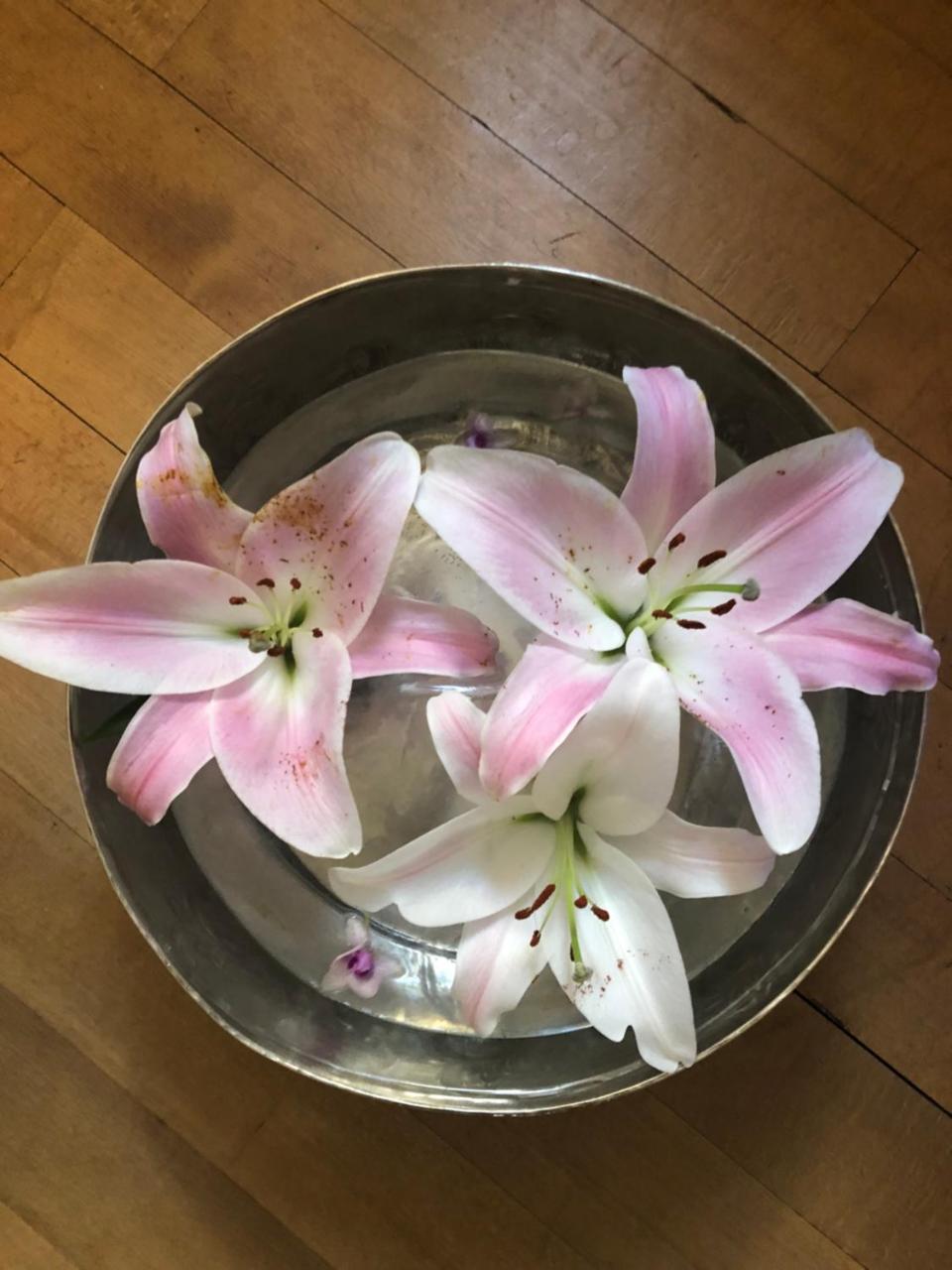 Good4Yew Bnb Zürich Kültér fotó